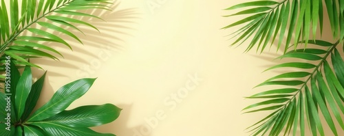 Fresh green palm leaves frame on beige Minimal summer exotic design, copy space , exotic design, tropical design