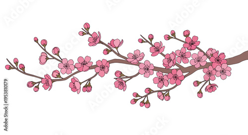 A blooming branch of pink flowers.