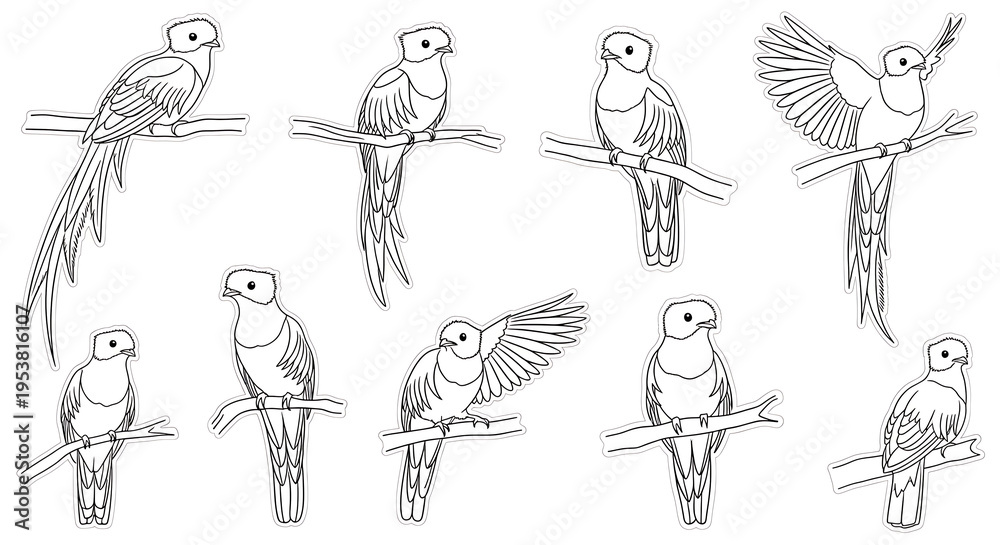 Fototapeta premium Set of 9 bird illustrations vector