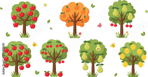 Fruit trees collection with apples oranges pears and lemons, seasonal orchard plants set with leaves and harvest concept flat vector illustration