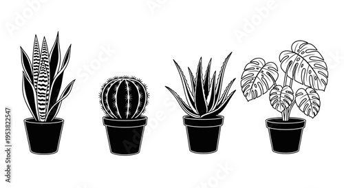 Set of Hand Drawn Potted Houseplants in Black and White