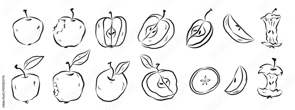 Fototapeta premium Apple variety outline fruit set. Collection of different apple shapes and varieties drawn in simple line art style. Vector hand drawn illustration.