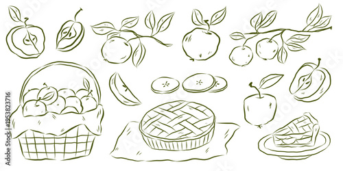 Homemade pie and apples set in line art style. Basket full of apples, pie slice, apple branch. Ideal for food icons, menus, packaging, and bakery designs. Vector hand drawn illustration.