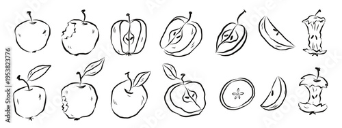 Apple variety outline fruit set. Collection of different apple shapes and varieties drawn in simple line art style. Vector hand drawn illustration.