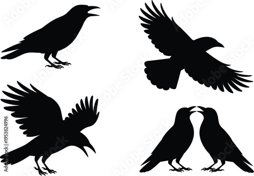 Black raven and crow silhouette collection, flying and standing poses of wild birds, gothic feathered animal vector elements isolated on white background