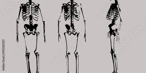 Birds on a branch and in the grass appear as a black silhouette set in a vintage vector illustration featuring a retro chandelier design with seamless flower patterns