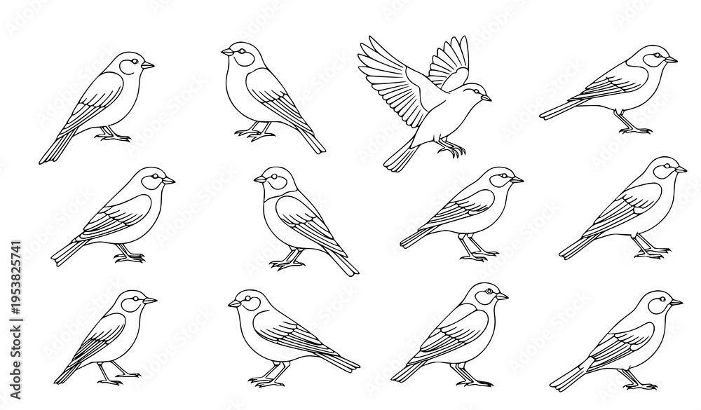 Fototapeta premium Minimal bird line art set black and white