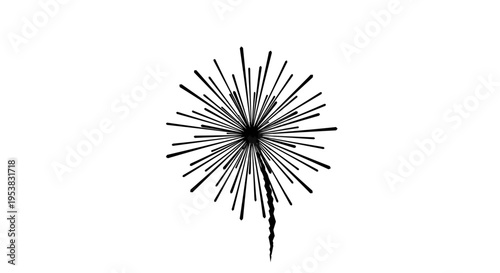 Black Dandelion Seed Head Closeup.