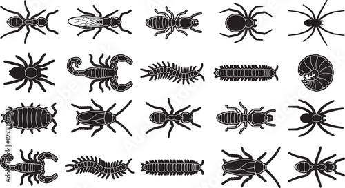 A collection of meticulously rendered illustrations showcases a diverse array of insects, featuring intricate details and striking silhouettes.