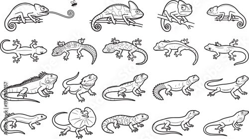 A collection of various lizards in grayscale, offering a detailed illustration of reptilian biodiversity. 