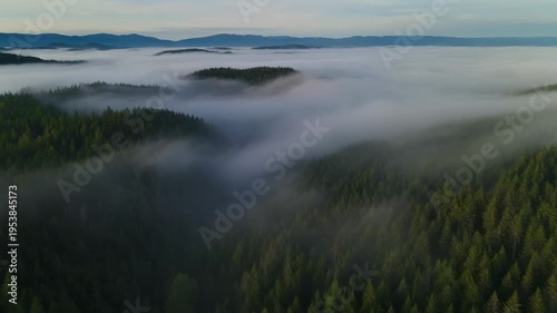 Aerial view of foggy mountains and dense forest landscape