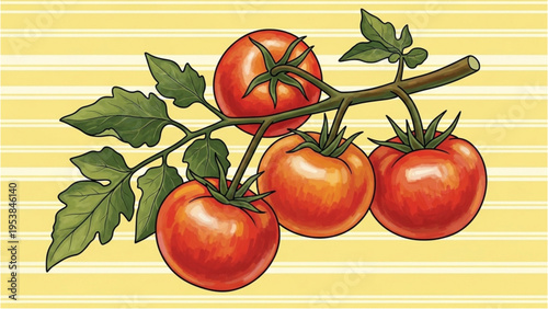 Fresh tomatoes hang from vine on leafy branch against striped background