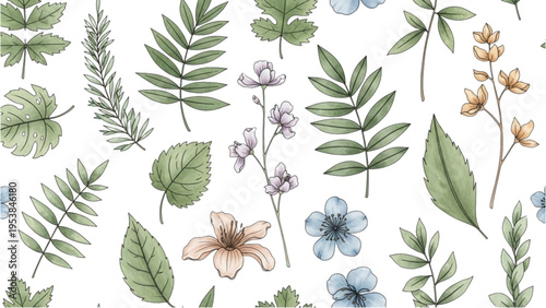 The illustration shows various plants and flowers in full bloom on a plain background.