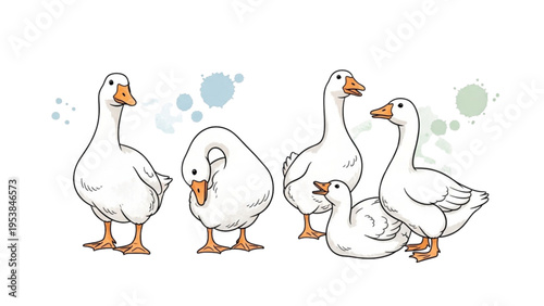 Four white geese and one gosling interact playfully outdoors