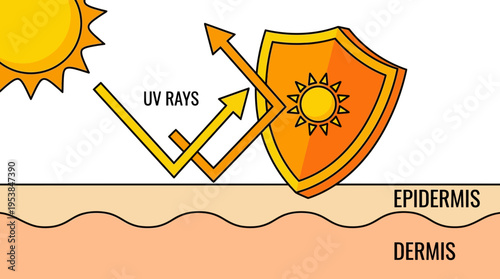 UV Rays Protection Concept Illustration with Skin Layers
