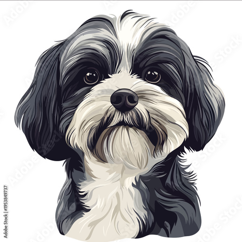 simple vector Lhasa apso clipart illustration white background vector art style simple design flat illustration no shadows