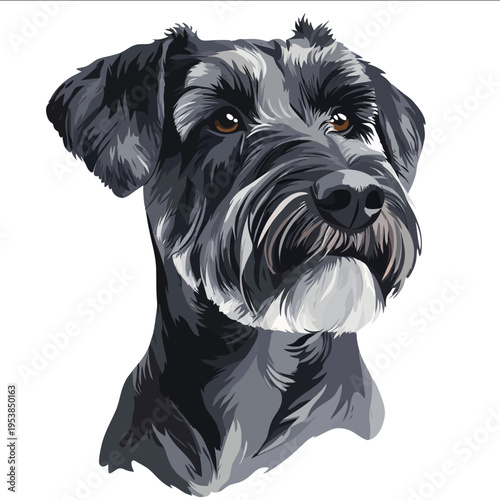 simple vector Standard Schnauzer clipart illustration white background vector art style simple design flat illustration no shadows