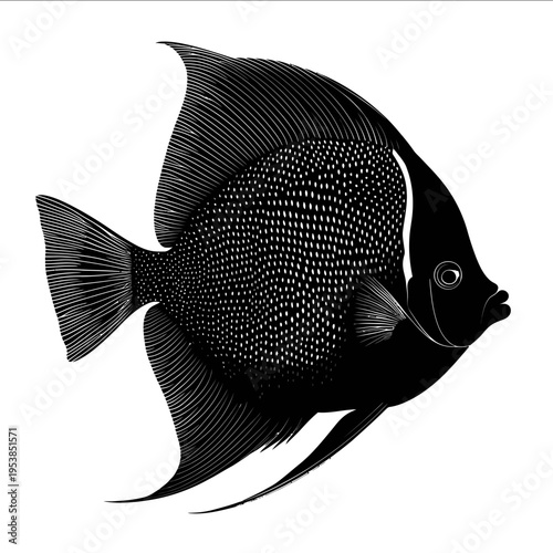 black silhouette emperor angelfish on a white backgrounk vector