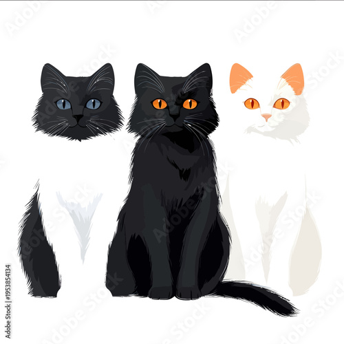 simple vector Russian White Black and Tabby clipart illustration white background vector art style simple design flat illustration no shadows.j