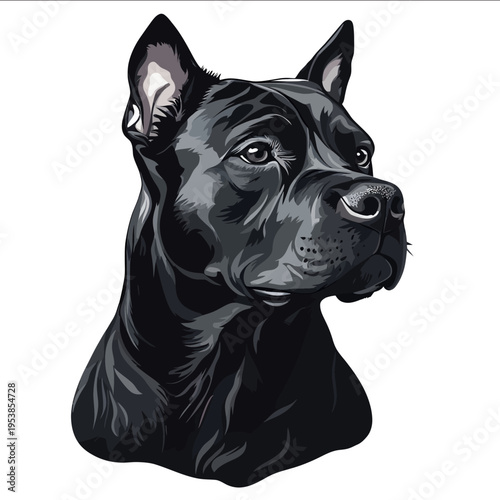 simple vector American Pit Bull Terrier clipart illustration white background vector art style simple design flat illustration no shadows