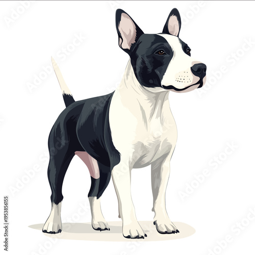 simple vector Bull Terrier clipart illustration white background vector art style simple design flat illustration no shadows