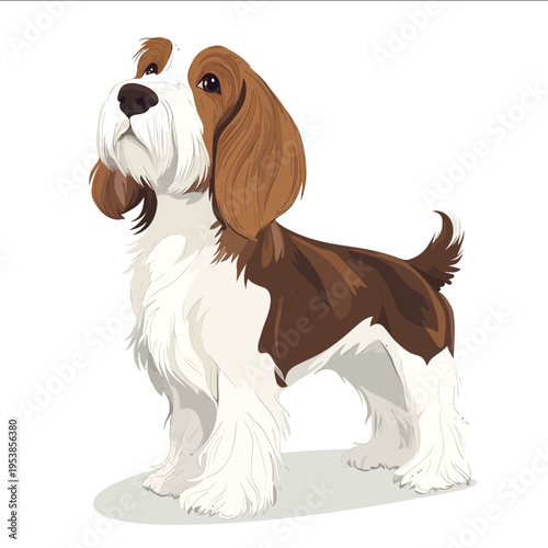 simple vector Petit Basset Griffon Vendeen clipart illustration white background vector art style simple design flat illustration no shadows.jp