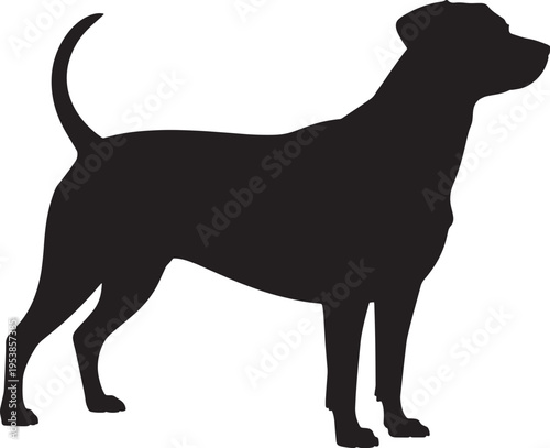 Black silhouette of a dog standing on white background