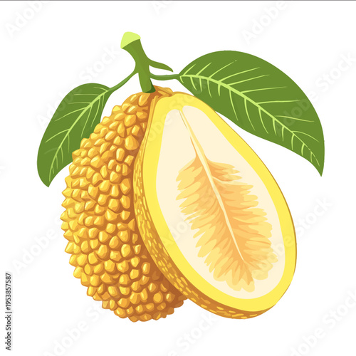 simple vector jackfruit clipart illustration white background vector art style simple design flat illustration no shadows