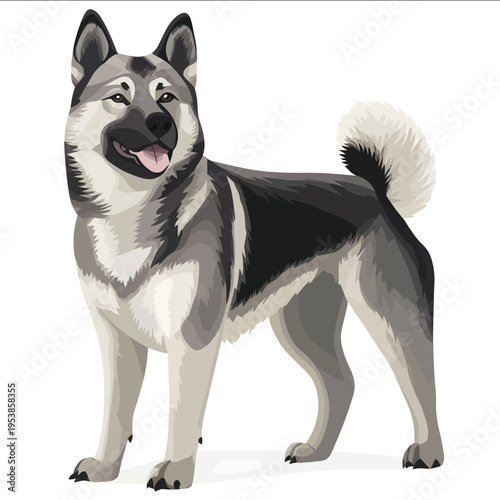 simple vector Norwegian Elkhound clipart illustration white background vector art style simple design flat illustration no shadows