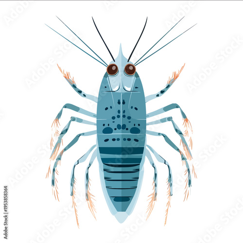 simple vector copepod clipart illustration white background vector art style simple design flat illustration no shadows