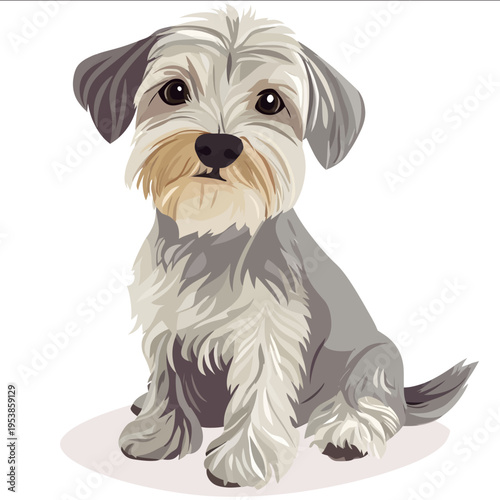 simple vector Dandie Dinmont Terrier clipart illustration white background vector art style simple design flat illustration no shadows