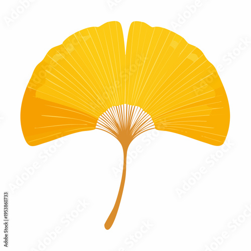 Yellow ginkgo biloba leaf isolated on white background