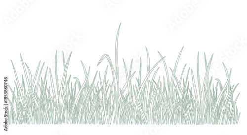 Green Grass Border Illustration, Nature Background, Fresh Spring Meadow Outline