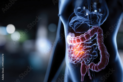 A striking visual representation of the human digestive system showcases highlighted areas, emphasizing the significance of digestive health and understanding bodily systems.