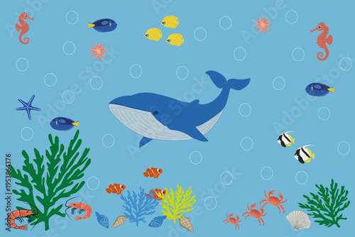 Underwater ocean scene with whale and fish
