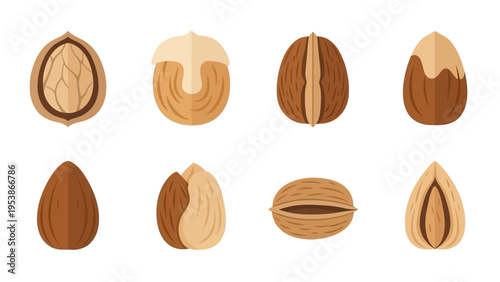 Assorted Nuts Collection: Walnuts, Almonds, Cashews, Brazil Nuts, Hazelnuts