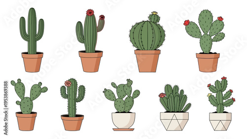 Collection of Potted Cacti and Succulents, Desert Plants in Pots, Vector Illustration