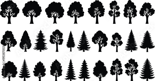 Set of tree silhouettes vector collection with pine oak palm and birch designs in black outline style for nature forest illustration