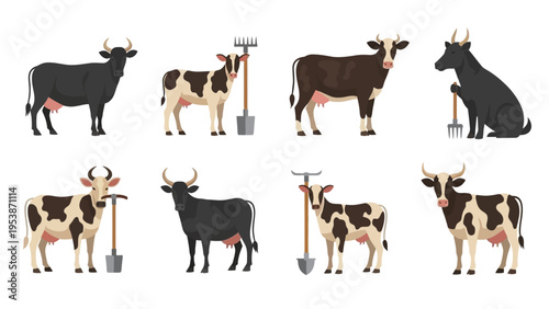 Farm Animals Collection: Cows and Farm Tools Vector Illustration