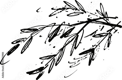 black ink sketch of delicate olive branch with leaves and small buds