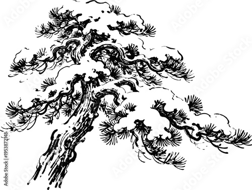 Ink drawing of japanese pine tree with intricate branches and needle foliage art