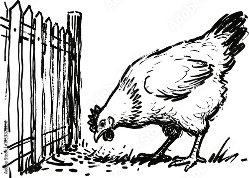 Black and white sketch of a chicken pecking grains near a wooden fence in a farmyard scene