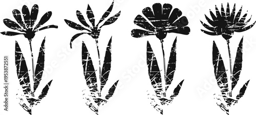 Set of four stylized black and white floral graphics with leaves and petals in grunge