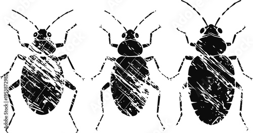 black silhouette of bed bugs in various positions insect pests harmful to homes and bedding vector illustration of small crawling bugs