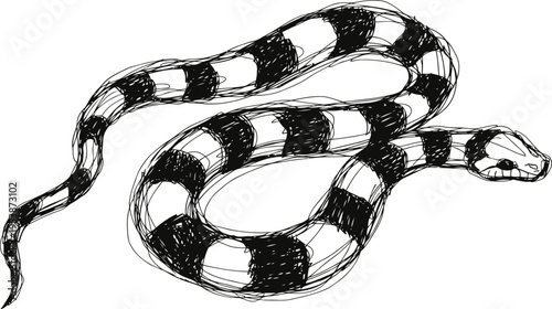 Black and white striped snake illustration coiled with visible scales and detailed head features