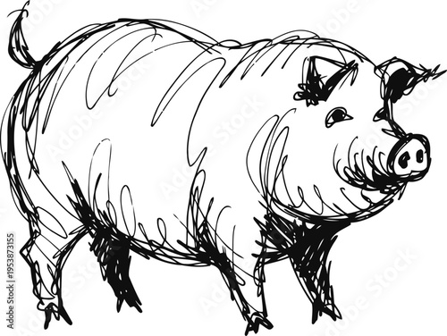 hand drawn pig illustration farm animal sketch, black ink drawing, livestock concept