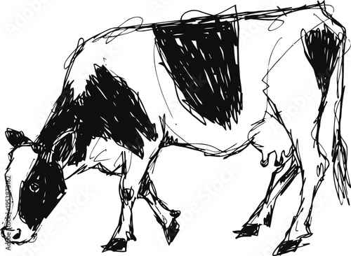 black and white dairy cow grazing, farm animal sketch drawing illustration