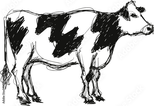 Black and white sketch of a standing cow facing right with detailed spots and outlines
