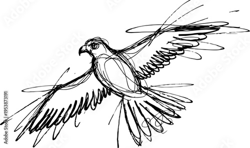 hand drawn sketch of a flying bird with outstretched wings in dynamic motion