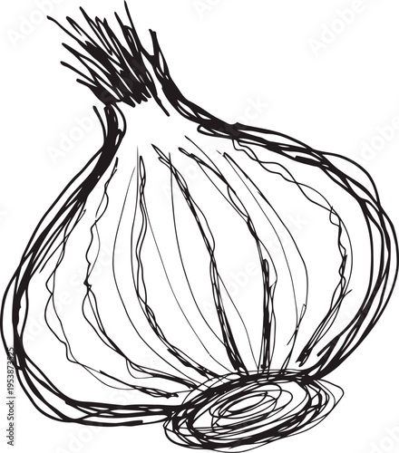 Hand drawn onion sketch simple line art illustration of fresh whole onion vegetable